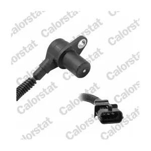 CS0079 CALORSTAT by Vernet