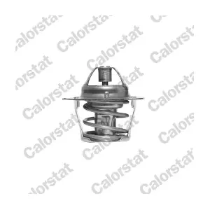 TH1248.80J CALORSTAT by Vernet