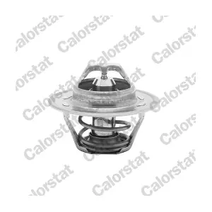 TH1290.82J CALORSTAT by Vernet