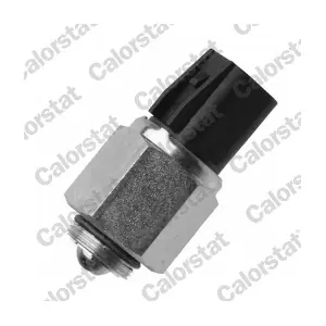 RS5613 CALORSTAT by Vernet
