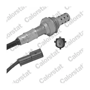 LS110246 CALORSTAT by Vernet