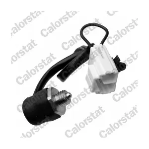 RS5596 CALORSTAT by Vernet