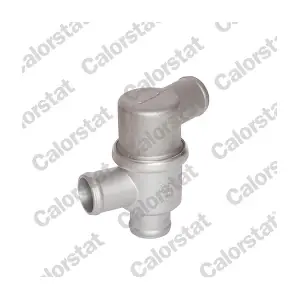 TH6603.80 CALORSTAT by Vernet
