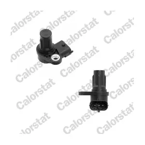 CS0304 CALORSTAT by Vernet