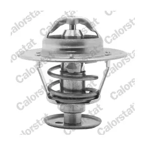 TH5981.89J CALORSTAT by Vernet