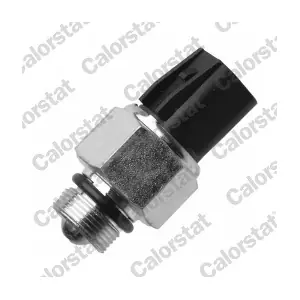 RS5625 CALORSTAT by Vernet