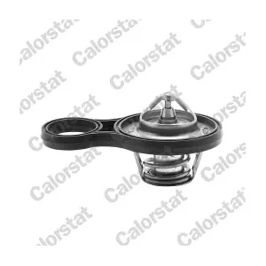 TH6843.91J CALORSTAT by Vernet
