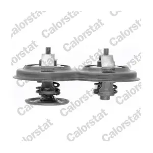 TH710583J CALORSTAT by Vernet