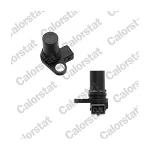 CS0291 CALORSTAT by Vernet