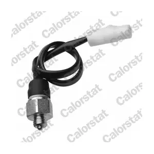 RS5603 CALORSTAT by Vernet