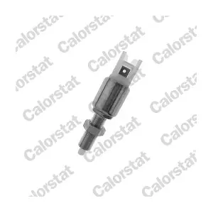 BS4559 CALORSTAT by Vernet