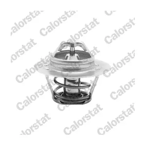 TH5955.88J CALORSTAT by Vernet