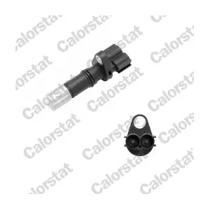 CS0040 CALORSTAT by Vernet