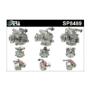 SP8489 ERA Benelux