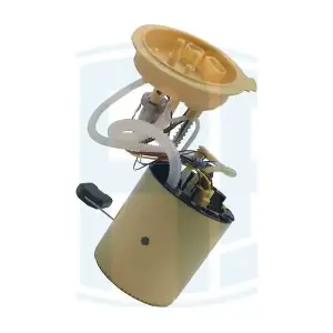 775629 ERA