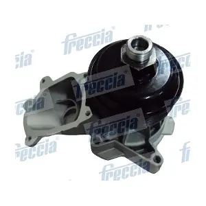 WP0397 FRECCIA