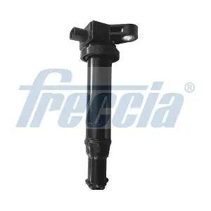 IC15-1095 FRECCIA