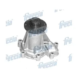 WP0355 FRECCIA