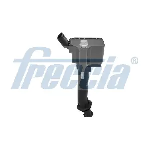 IC15-1038 FRECCIA