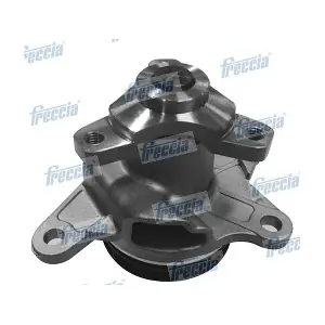 WP0272 FRECCIA