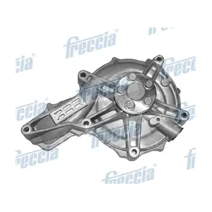 WP0575 FRECCIA