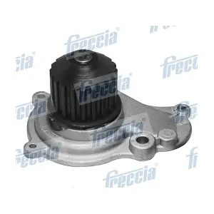 WP0281 FRECCIA