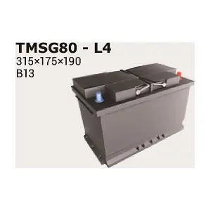 TMSG80 IPSA