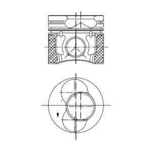 PI001100 IPSA