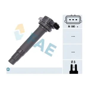 80244 FAE