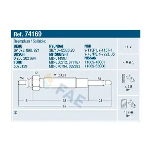 74169 FAE