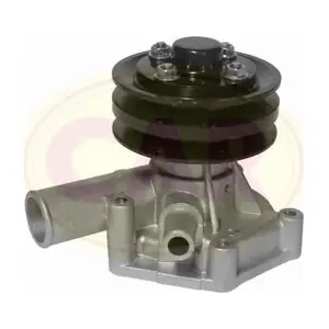 240523 METELLI