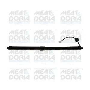301130 MEAT & DORIA