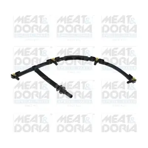 9841 MEAT & DORIA