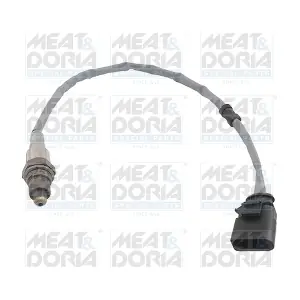 81943 MEAT & DORIA