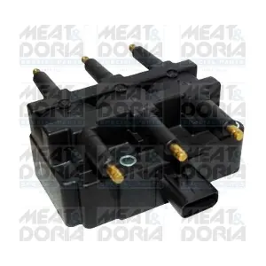 10656 MEAT & DORIA