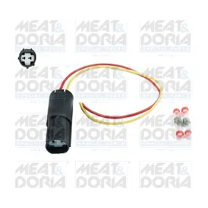 25105 MEAT & DORIA