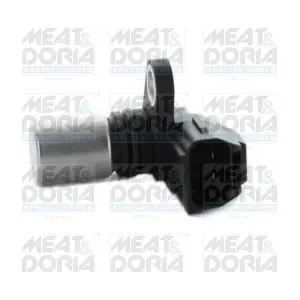 87448 MEAT & DORIA