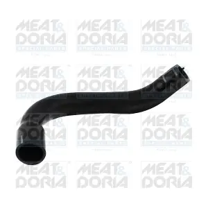 961285 MEAT & DORIA
