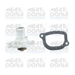 92078 MEAT & DORIA