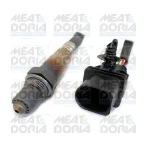 81854 MEAT & DORIA