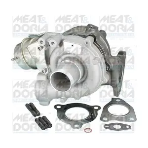 65069 MEAT & DORIA