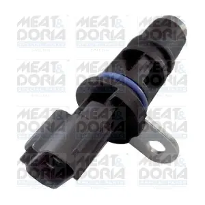 871011 MEAT & DORIA