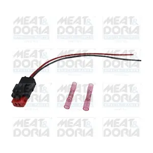 25484 MEAT & DORIA