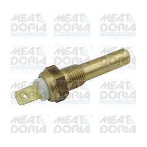82437 MEAT & DORIA