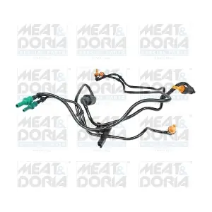 98061 MEAT & DORIA