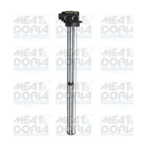 79347 MEAT & DORIA