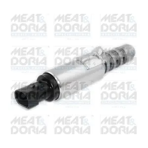 91563 MEAT & DORIA