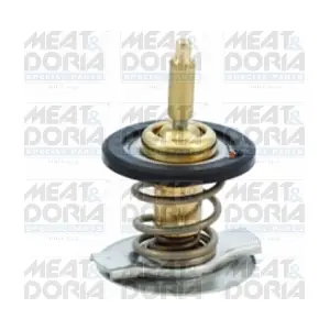 92739 MEAT & DORIA