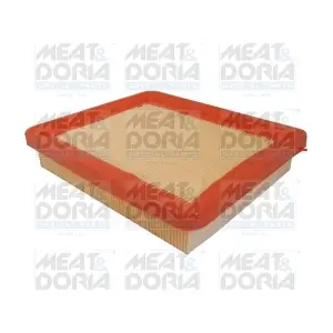 16168 MEAT & DORIA
