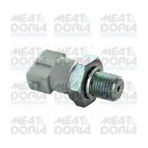 72064 MEAT & DORIA